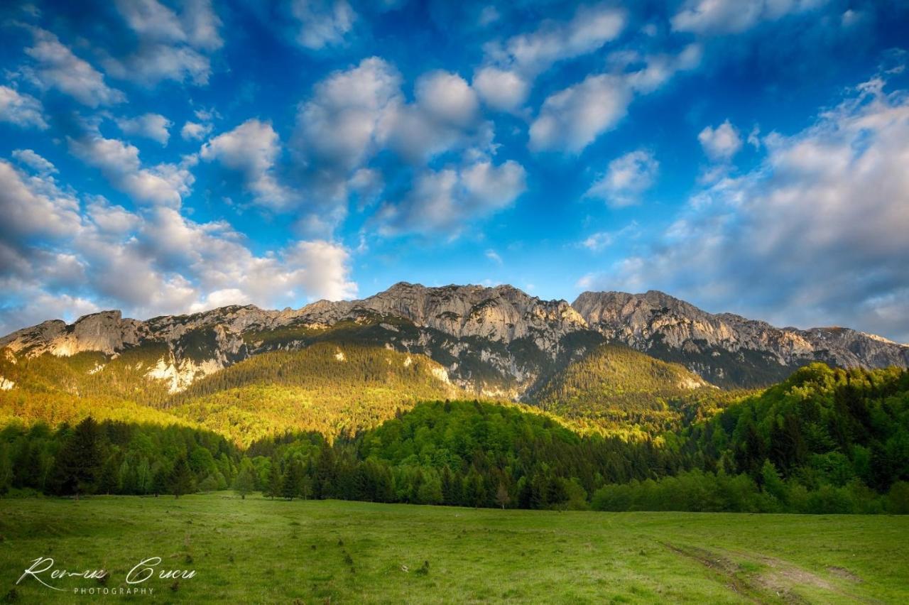 Pensiunea 3 Brazi เซอร์เนช ภายนอก รูปภาพ