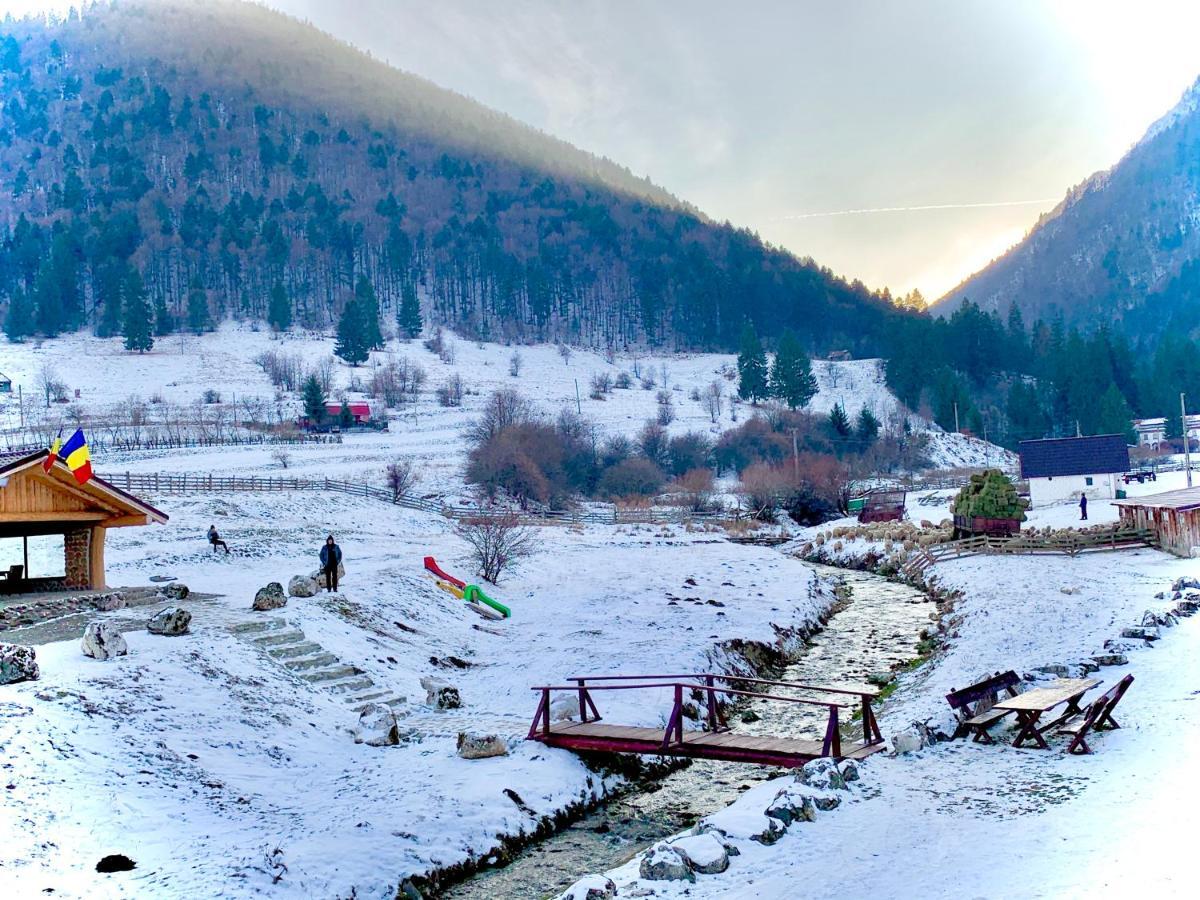 Pensiunea 3 Brazi เซอร์เนช ภายนอก รูปภาพ